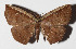  ( - 15-SRNP-30410)  @14 [ ] CreativeCommons  Attribution Non-Commercial Share-Alike (2016) Unspecified Guanacaste Dry Forest Conservation Fund
