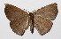 ( - 15-SRNP-30410)  @14 [ ] CreativeCommons  Attribution Non-Commercial Share-Alike (2016) Unspecified Guanacaste Dry Forest Conservation Fund