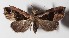  ( - 15-SRNP-30428)  @14 [ ] CreativeCommons  Attribution Non-Commercial Share-Alike (2016) Unspecified Guanacaste Dry Forest Conservation Fund