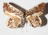  ( - 15-SRNP-30441)  @13 [ ] CreativeCommons  Attribution Non-Commercial Share-Alike (2016) Unspecified Guanacaste Dry Forest Conservation Fund