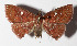  ( - 15-SRNP-30448)  @14 [ ] CreativeCommons  Attribution Non-Commercial Share-Alike (2016) Unspecified Guanacaste Dry Forest Conservation Fund