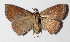  ( - 15-SRNP-30448)  @13 [ ] CreativeCommons  Attribution Non-Commercial Share-Alike (2016) Unspecified Guanacaste Dry Forest Conservation Fund