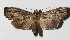  ( - 15-SRNP-30566)  @12 [ ] CreativeCommons  Attribution Non-Commercial Share-Alike (2016) Unspecified Guanacaste Dry Forest Conservation Fund