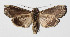  ( - 15-SRNP-30566)  @12 [ ] CreativeCommons  Attribution Non-Commercial Share-Alike (2016) Unspecified Guanacaste Dry Forest Conservation Fund