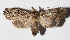 ( - 15-SRNP-30567)  @13 [ ] CreativeCommons  Attribution Non-Commercial Share-Alike (2016) Unspecified Guanacaste Dry Forest Conservation Fund
