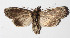  ( - 15-SRNP-30567)  @12 [ ] CreativeCommons  Attribution Non-Commercial Share-Alike (2016) Unspecified Guanacaste Dry Forest Conservation Fund