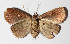  ( - 15-SRNP-30599)  @13 [ ] CreativeCommons  Attribution Non-Commercial Share-Alike (2016) Unspecified Guanacaste Dry Forest Conservation Fund