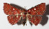  ( - 15-SRNP-30601)  @14 [ ] CreativeCommons  Attribution Non-Commercial Share-Alike (2016) Unspecified Guanacaste Dry Forest Conservation Fund