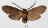  ( - 15-SRNP-30613)  @14 [ ] CreativeCommons  Attribution Non-Commercial Share-Alike (2016) Unspecified Guanacaste Dry Forest Conservation Fund
