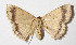  ( - 15-SRNP-30906)  @15 [ ] CreativeCommons  Attribution Non-Commercial Share-Alike (2016) Unspecified Guanacaste Dry Forest Conservation Fund