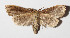  ( - 15-SRNP-30973)  @14 [ ] CreativeCommons  Attribution Non-Commercial Share-Alike (2016) Unspecified Guanacaste Dry Forest Conservation Fund