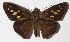  ( - 15-SRNP-31)  @15 [ ] CreativeCommons  Attribution Non-Commercial Share-Alike (2016) Unspecified Guanacaste Dry Forest Conservation Fund