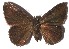  ( - 15-SRNP-31246)  @13 [ ] CreativeCommons  Attribution Non-Commercial Share-Alike (2016) Unspecified Guanacaste Dry Forest Conservation Fund