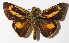  ( - 15-SRNP-354)  @14 [ ] CreativeCommons  Attribution Non-Commercial Share-Alike (2016) Unspecified Guanacaste Dry Forest Conservation Fund