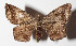  ( - 15-SRNP-40077)  @13 [ ] CreativeCommons  Attribution Non-Commercial Share-Alike (2016) Unspecified Guanacaste Dry Forest Conservation Fund