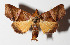 ( - 15-SRNP-45102)  @14 [ ] CreativeCommons  Attribution Non-Commercial Share-Alike (2016) Unspecified Guanacaste Dry Forest Conservation Fund
