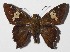  ( - 15-SRNP-45172)  @14 [ ] CreativeCommons  Attribution Non-Commercial Share-Alike (2016) Unspecified Guanacaste Dry Forest Conservation Fund