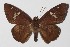  ( - 15-SRNP-45293)  @14 [ ] CreativeCommons  Attribution Non-Commercial Share-Alike (2016) Unspecified Guanacaste Dry Forest Conservation Fund