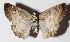  ( - 15-SRNP-45382)  @14 [ ] CreativeCommons  Attribution Non-Commercial Share-Alike (2016) Unspecified Guanacaste Dry Forest Conservation Fund