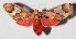  ( - 15-SRNP-513)  @14 [ ] CreativeCommons  Attribution Non-Commercial Share-Alike (2016) Unspecified Guanacaste Dry Forest Conservation Fund