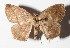  ( - 15-SRNP-55144)  @14 [ ] CreativeCommons  Attribution Non-Commercial Share-Alike (2016) Unspecified Guanacaste Dry Forest Conservation Fund