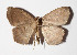  ( - 15-SRNP-55144)  @13 [ ] CreativeCommons  Attribution Non-Commercial Share-Alike (2016) Unspecified Guanacaste Dry Forest Conservation Fund