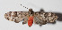  ( - 15-SRNP-55156)  @13 [ ] CreativeCommons  Attribution Non-Commercial Share-Alike (2016) Unspecified Guanacaste Dry Forest Conservation Fund
