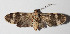  ( - 15-SRNP-55156)  @13 [ ] CreativeCommons  Attribution Non-Commercial Share-Alike (2016) Unspecified Guanacaste Dry Forest Conservation Fund