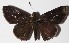  ( - 15-SRNP-65035)  @14 [ ] CreativeCommons  Attribution Non-Commercial Share-Alike (2016) Unspecified Guanacaste Dry Forest Conservation Fund