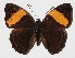  ( - 15-SRNP-70070)  @14 [ ] CreativeCommons  Attribution Non-Commercial Share-Alike (2016) Unspecified Guanacaste Dry Forest Conservation Fund
