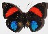  ( - 15-SRNP-70207)  @14 [ ] CreativeCommons  Attribution Non-Commercial Share-Alike (2016) Unspecified Guanacaste Dry Forest Conservation Fund