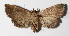  ( - 15-SRNP-70813)  @11 [ ] CreativeCommons  Attribution Non-Commercial Share-Alike (2016) Unspecified Guanacaste Dry Forest Conservation Fund