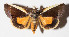  ( - 15-SRNP-70932)  @14 [ ] CreativeCommons  Attribution Non-Commercial Share-Alike (2016) Unspecified Guanacaste Dry Forest Conservation Fund
