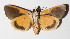  ( - 15-SRNP-70932)  @12 [ ] CreativeCommons  Attribution Non-Commercial Share-Alike (2016) Unspecified Guanacaste Dry Forest Conservation Fund