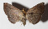  ( - 15-SRNP-71034)  @14 [ ] CreativeCommons  Attribution Non-Commercial Share-Alike (2016) Unspecified Guanacaste Dry Forest Conservation Fund
