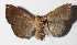  ( - 15-SRNP-71034)  @14 [ ] CreativeCommons  Attribution Non-Commercial Share-Alike (2016) Unspecified Guanacaste Dry Forest Conservation Fund