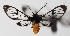  ( - 15-SRNP-71094)  @14 [ ] CreativeCommons  Attribution Non-Commercial Share-Alike (2016) Unspecified Guanacaste Dry Forest Conservation Fund