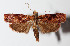  ( - 15-SRNP-80021)  @13 [ ] CreativeCommons  Attribution Non-Commercial Share-Alike (2016) Unspecified Guanacaste Dry Forest Conservation Fund