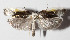  ( - 15-SRNP-80032)  @14 [ ] CreativeCommons  Attribution Non-Commercial Share-Alike (2016) Unspecified Guanacaste Dry Forest Conservation Fund