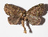  ( - 15-SRNP-80037)  @12 [ ] CreativeCommons  Attribution Non-Commercial Share-Alike (2016) Unspecified Guanacaste Dry Forest Conservation Fund