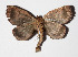  ( - 15-SRNP-80037)  @12 [ ] CreativeCommons  Attribution Non-Commercial Share-Alike (2016) Unspecified Guanacaste Dry Forest Conservation Fund