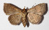  ( - 15-SRNP-80080)  @13 [ ] CreativeCommons  Attribution Non-Commercial Share-Alike (2016) Unspecified Guanacaste Dry Forest Conservation Fund