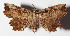  ( - 15-SRNP-80086)  @13 [ ] CreativeCommons  Attribution Non-Commercial Share-Alike (2016) Unspecified Guanacaste Dry Forest Conservation Fund