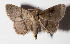  ( - 15-SRNP-80108)  @14 [ ] CreativeCommons  Attribution Non-Commercial Share-Alike (2016) Unspecified Guanacaste Dry Forest Conservation Fund