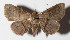  ( - 15-SRNP-80109)  @14 [ ] CreativeCommons  Attribution Non-Commercial Share-Alike (2016) Unspecified Guanacaste Dry Forest Conservation Fund