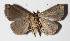  ( - 15-SRNP-80109)  @13 [ ] CreativeCommons  Attribution Non-Commercial Share-Alike (2016) Unspecified Guanacaste Dry Forest Conservation Fund