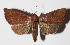  ( - 15-SRNP-80145)  @14 [ ] CreativeCommons  Attribution Non-Commercial Share-Alike (2016) Unspecified Guanacaste Dry Forest Conservation Fund