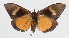  ( - 15-SRNP-80416)  @13 [ ] CreativeCommons  Attribution Non-Commercial Share-Alike (2016) Unspecified Guanacaste Dry Forest Conservation Fund