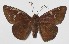 ( - 15-SRNP-80425)  @14 [ ] CreativeCommons  Attribution Non-Commercial Share-Alike (2016) Unspecified Guanacaste Dry Forest Conservation Fund