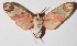  ( - 15-SRNP-852)  @14 [ ] CreativeCommons  Attribution Non-Commercial Share-Alike (2016) Unspecified Guanacaste Dry Forest Conservation Fund